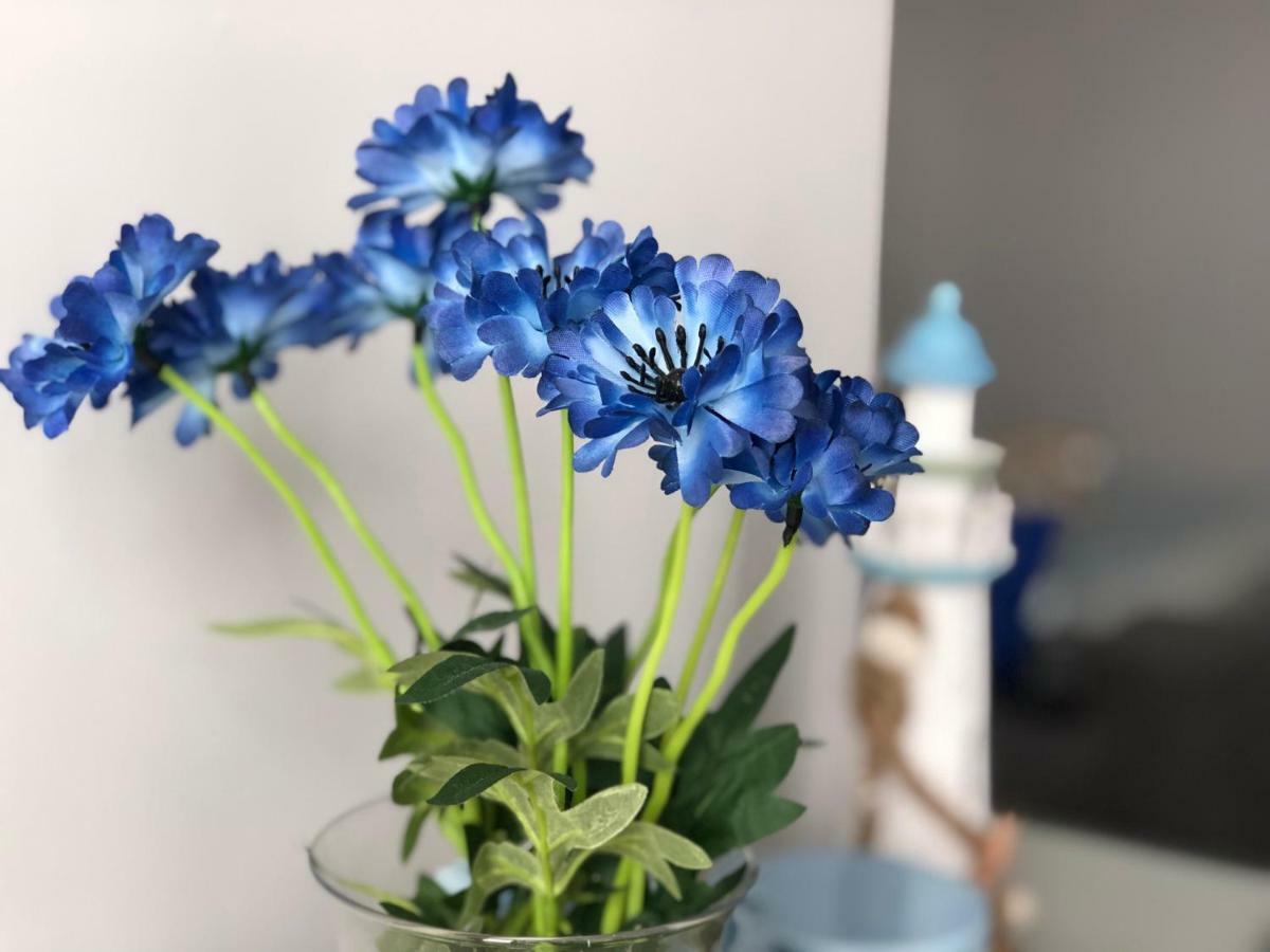 Ahoj Apartman Łeba Kültér fotó